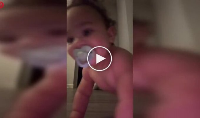 A spectacular video failed: an unexpected participant appeared in the frame