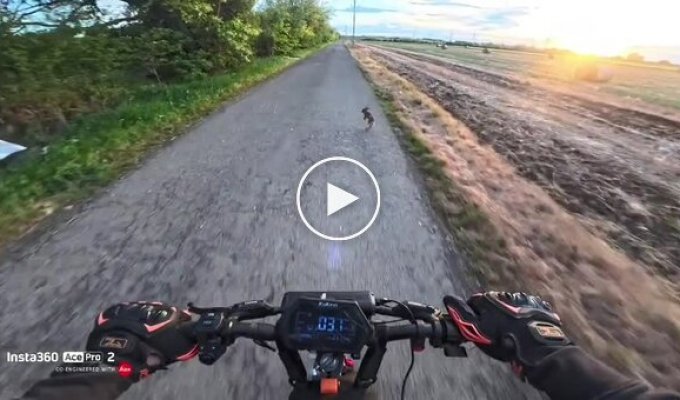 Nature vs. scooter riders