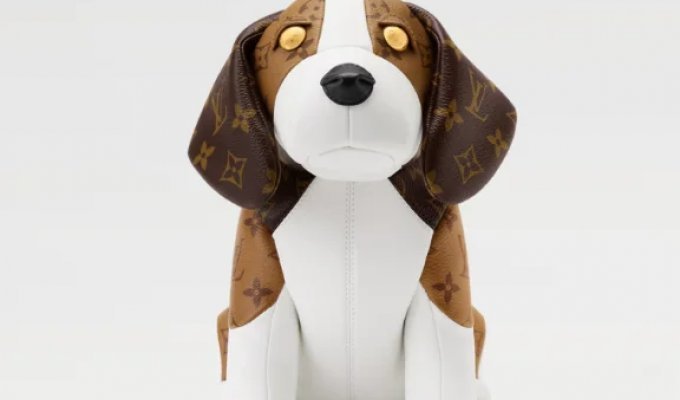 A dog-shaped bag for $5,800 (3 photos)