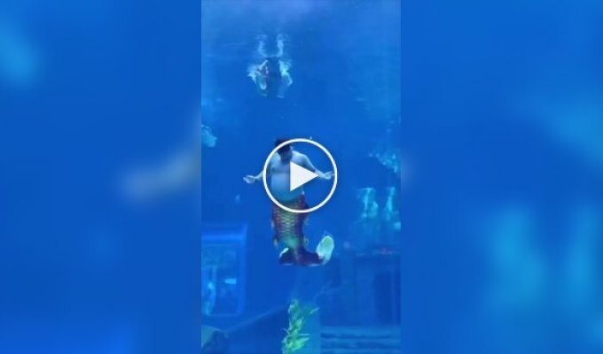 В китайском океанариуме показали будни «русала» с юмором