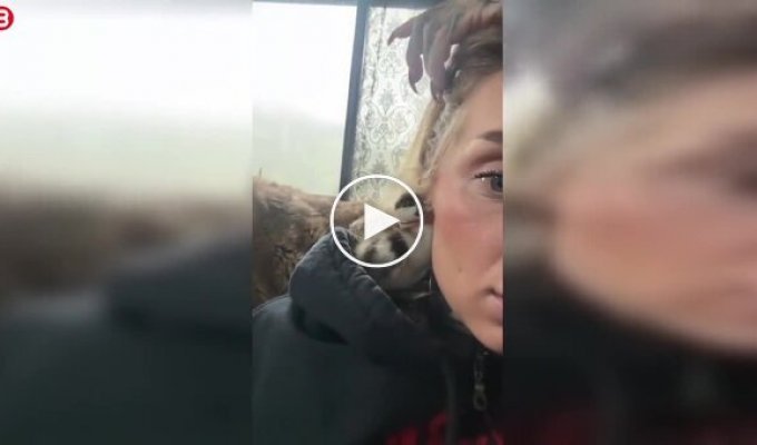 An unusual case: a duckling hid in the ear of a woman with a tunnel