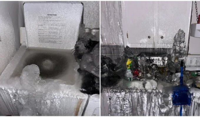 Saving at the max: A vengeful tenant turned a Quebec apartment into an icy hell (4 photos + 1 video)