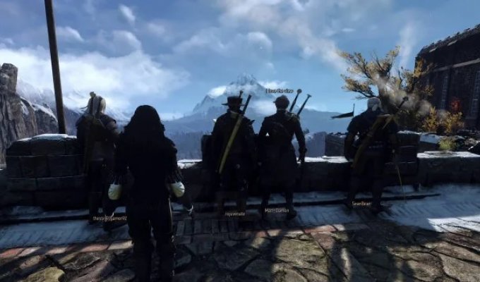 A Co-op Mod for "Witcher Online" Has Been Released for the Third "Witcher" (9 photos + video)
