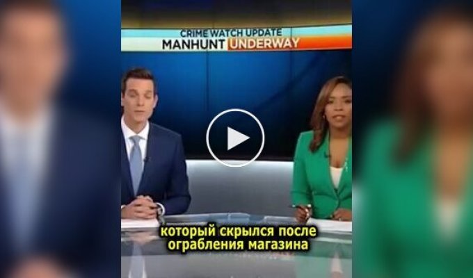 Ведущие новостей не смогли сдержать смех