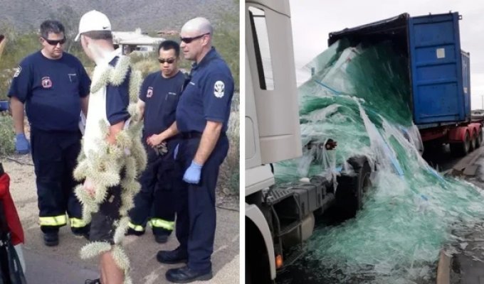 Подборка нетривиальных провалов, участники которых могут признать себя чемпионами неудачи (14 фото)