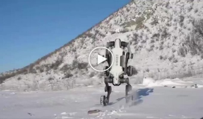 Китайці протестували робоособаку в екстремальних умовах