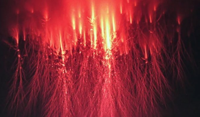 Red Alien Spirits in the Sky (4 photos + video)