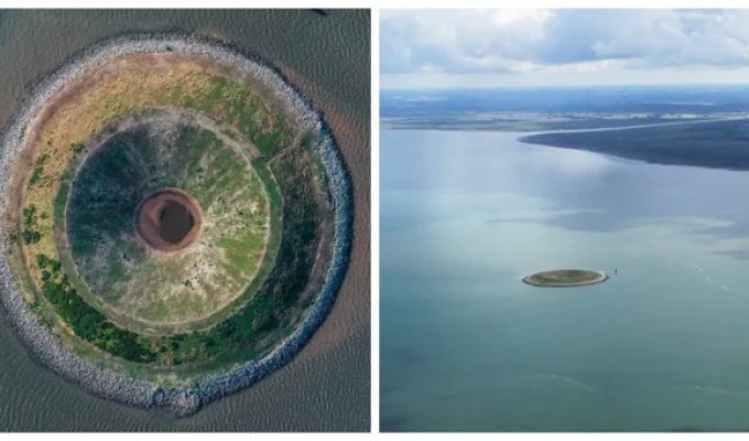 Donut Island: a failed project that nature saved and made a paradise for birds (7 photos + 1 video)