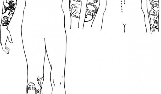 A Canadian professor, for the sake of science, covered his entire body with Scythian tattoos from Siberian graves (3 photos)