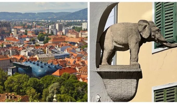 Слон у ніші: історія про найпершого слона Граца (11 фото)