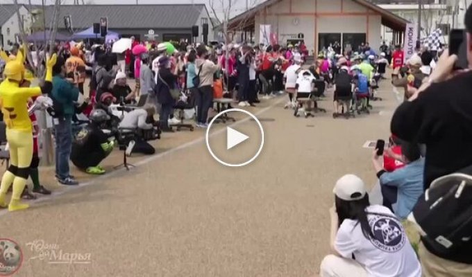 Another chair race took place in Japan