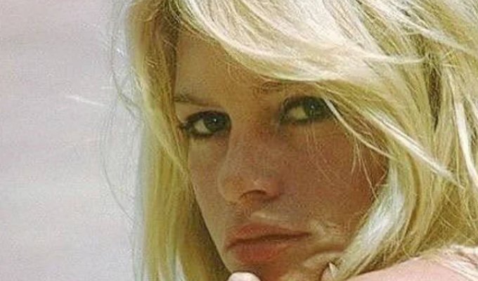 The Era of Babette and Neckline: How Brigitte Bardot Sold the World French Sin in the 60s (7 photos)