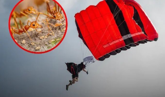 The story of how a parachutist fell from 4,400 meters and survived