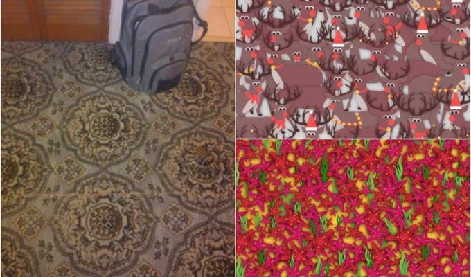 Картинки-загадки для спостережних (9 фото)