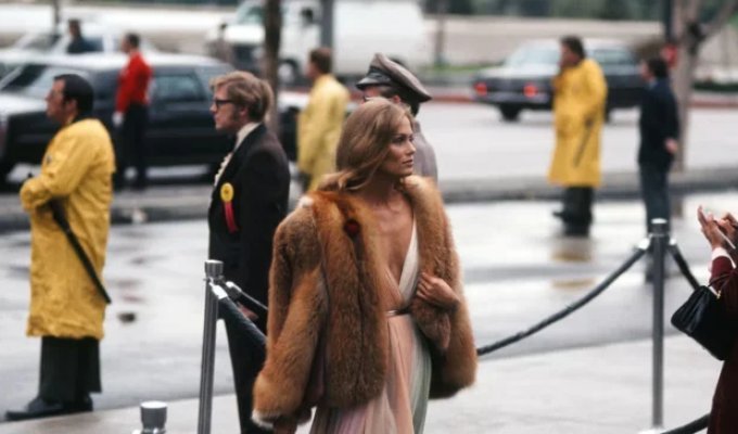 A Million-Dollar Gap Between Teeth: How Lauren Hutton Broke the Modeling Industry Rules for 60 Years (15 photos)
