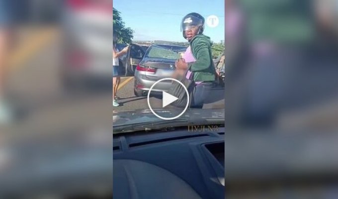 Только посмотри на это! Как я объясню, что на мою машину прыгнул бык