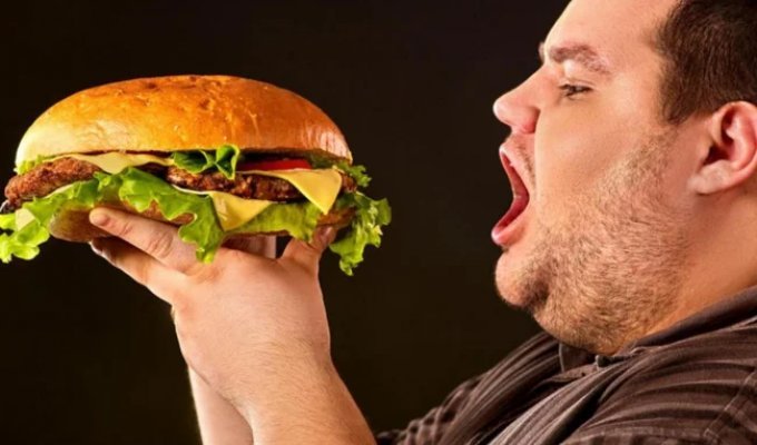 10 Fast Food Facts That Employees Prefer to Keep Quiet (10 photos)