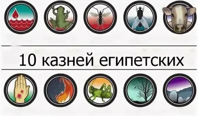 How do scientists explain the Ten Plagues of Egypt? (9 photos)