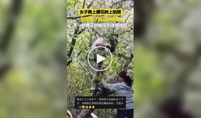 Жінка впустила дерево в шанхайському парку.