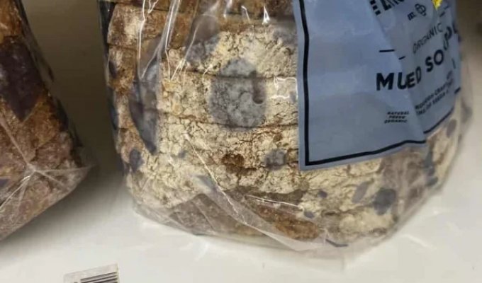 Подборка смешного и провального дизайна (13 фото)