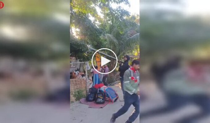 Використання бамбука в якості базуки