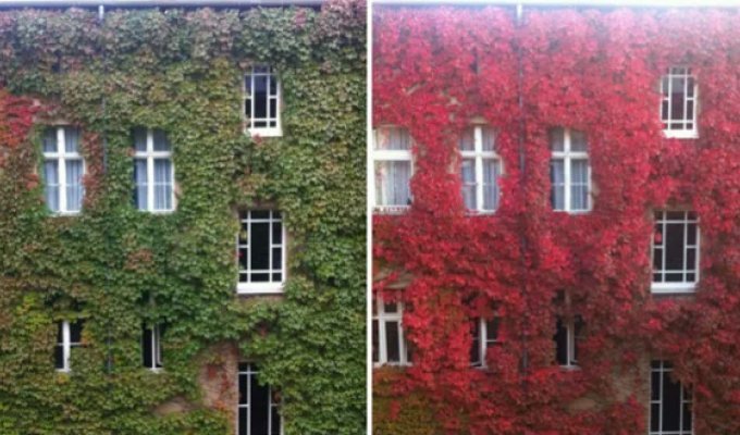 A Dozen Breathtaking Autumn Transformations (24 Photos)