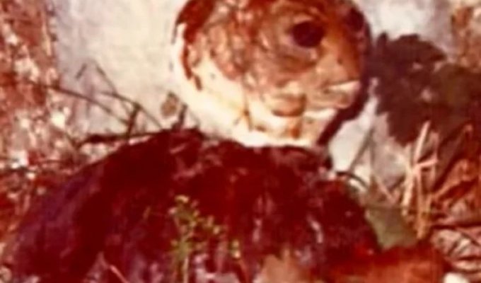 Загадкова зустріч із прибульцем в Італії (4 фото)