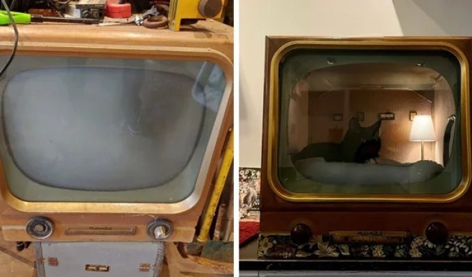 A craftsman turns old equipment into cat beds (33 photos)