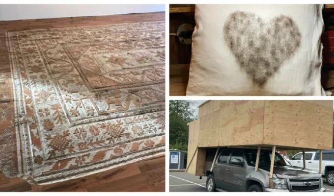 30 homemade products that belong in the museum of mistakes (31 photos)