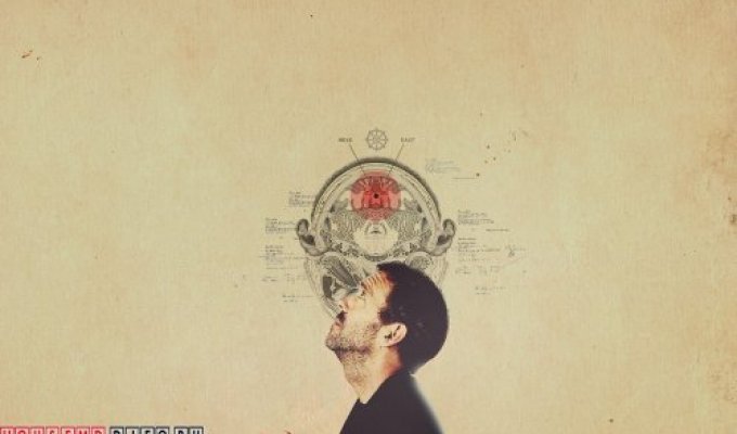 Доктор Хаус, Doctor House MD