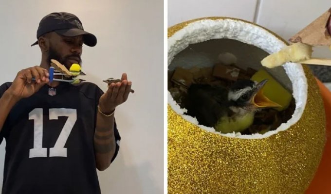 Мужчина смастерил «маму» для птенца (21 фото + 1 видео)