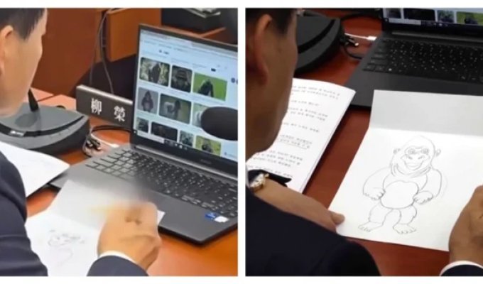 A Korean MP drew a gorilla at a parliamentary meeting (1 photo + 2 videos)