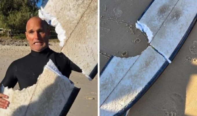 In Australia, a four-meter shark bit a surfer's board (4 photos + 2 videos)