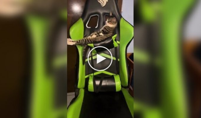 Купил себе игровое кресло