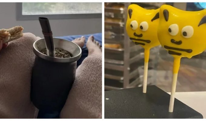 20 моментів, що демонструють жарти реальності (21 фото)