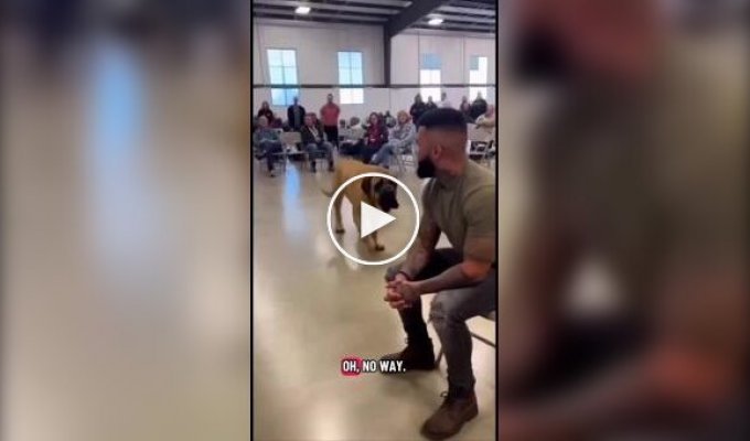 Let them choose with their hearts: in the US, a shelter allowed animals to choose their owners