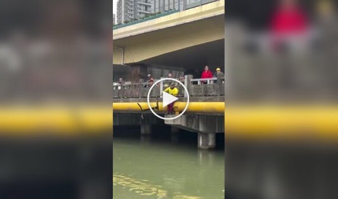 Испытание гидрофойла под мостом закончилось падением в воду