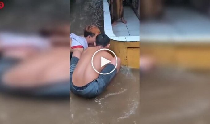 В Таиланде поймали гигантского питона на затопленной улице