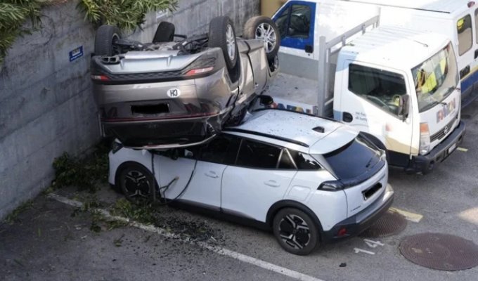 Hurried to Make It, So as Not to Be Late⁠⁠ (11 photos + 1 video)