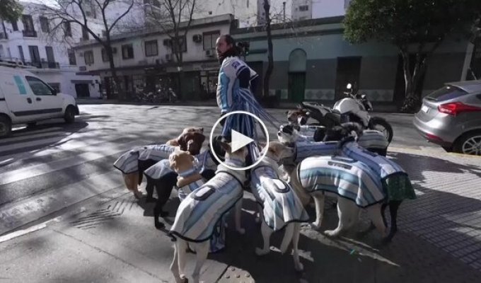 Four-legged fans of Messi.