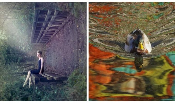 Optical poetry: 20 photos that will deceive your perception (21 photos)