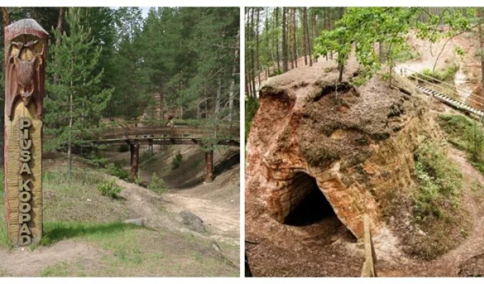 Песчаные пещеры Пиуса: подземное царство летучих мышей (12 фото)