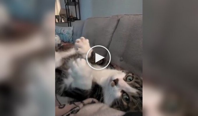 Гарний початок дня