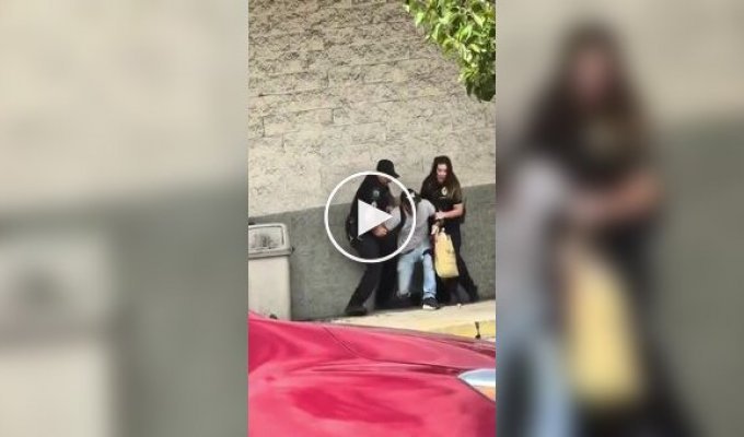 Собака неприятно удивила хозяина