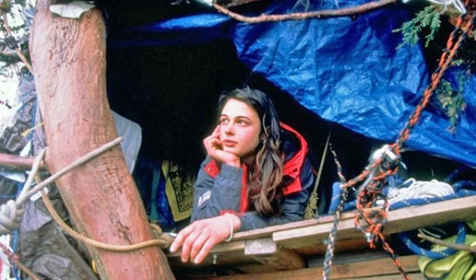Подвиг заради природи: історія екоактивістки, яка прожила на вершині гігантської секвойї 738 днів (3 фото)