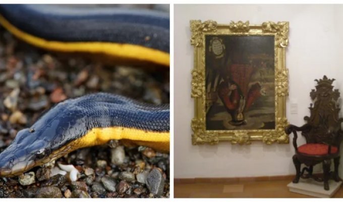 Від невдоволеного воскреслого до знеболювальних схилів: 8 історичних фактів, у які важко повірити, але вони правдиві (9 фото)