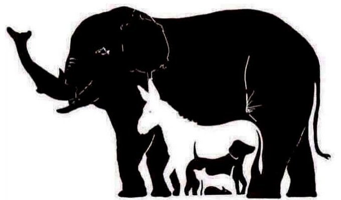 Скільки всіх тварин на зображенні?