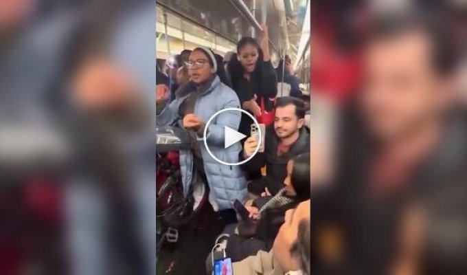 A subway passenger enraged her bullies and became famous on the internet