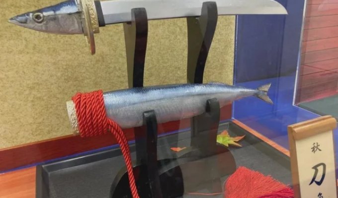 Случаи, когда люди не искали лёгких путей и создавали прям странные штуки (13 фото)