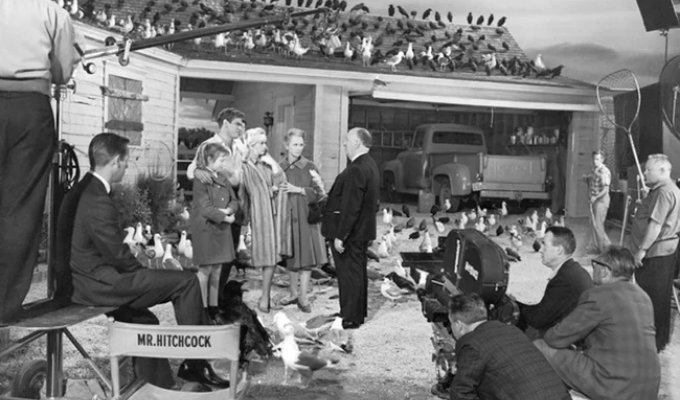 Behind the Scenes with Alfred Hitchcock, the Master of Suspense (25 Photos)